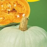 Sütőtök Nagydobosi 50 g termék képe