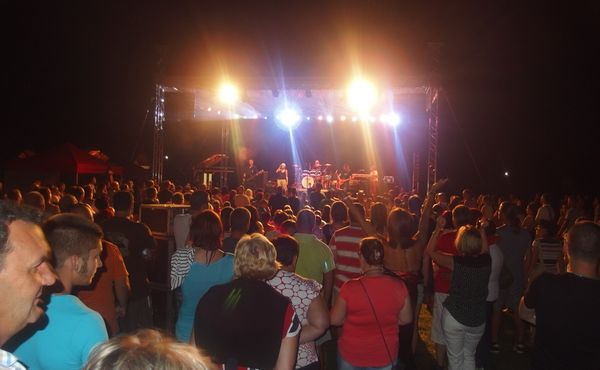 25. Falunap 2014. augusztus 9.