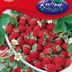 D. Szamóca Rügen 0,2 g termék képe