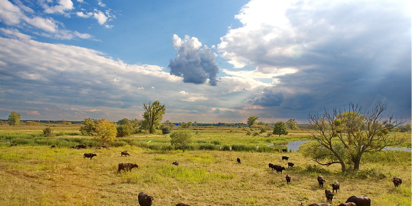 Fertő-Hansági Nemzeti park