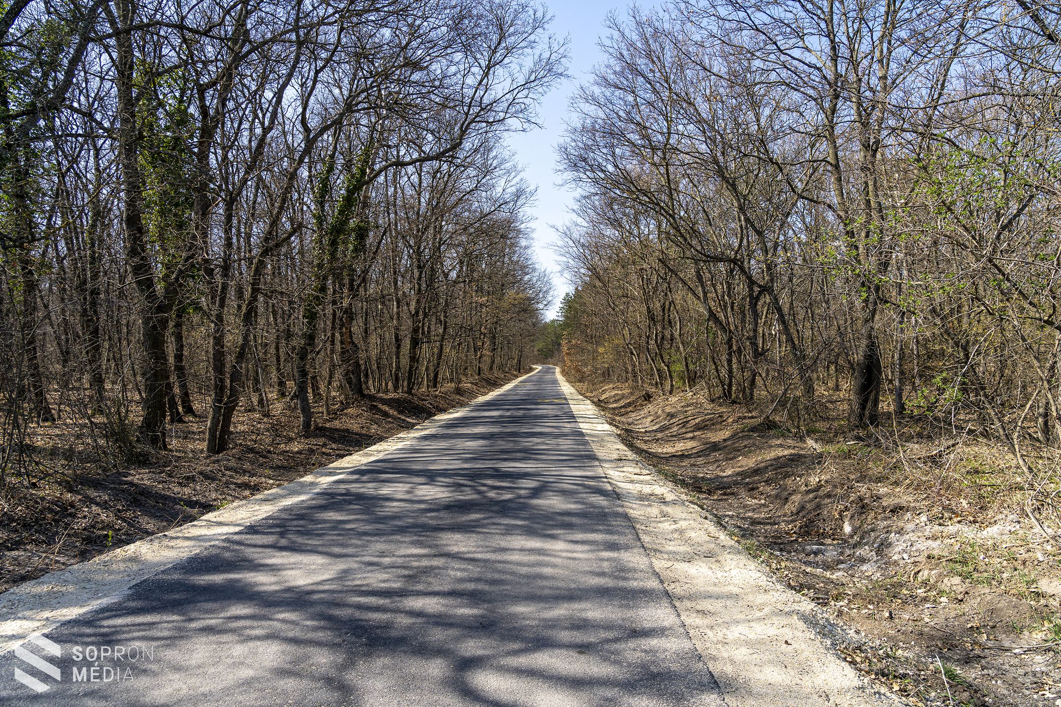 Újabb kerékpáros útvonal újult meg Sopronban – átadták a megújult Nemeskúti utat