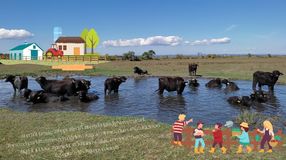 Új korszak a Fertő-Hanság Nemzeti Parkban!