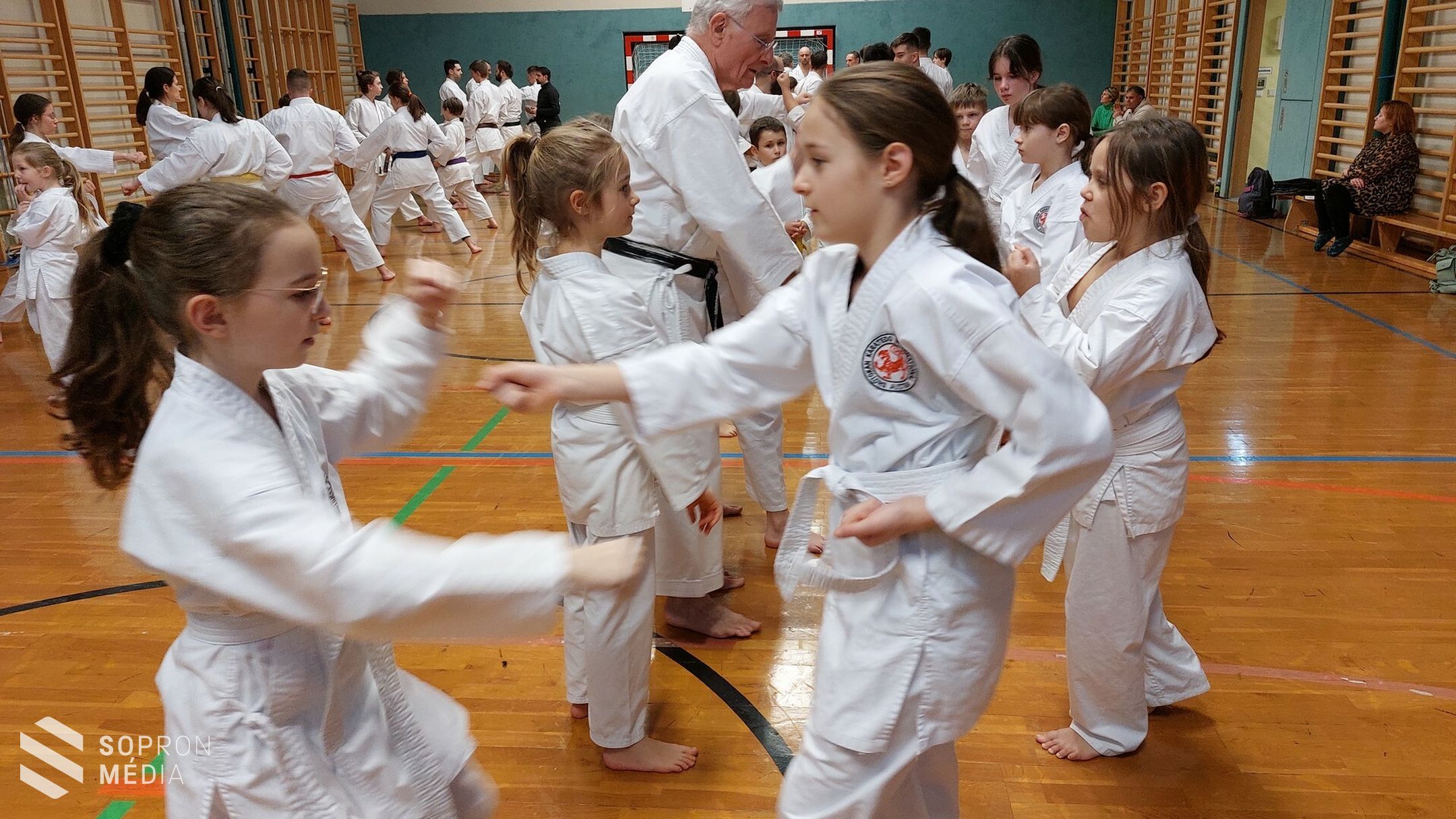 Sűrű hétvége a Shotokan Tigrisek háza táján