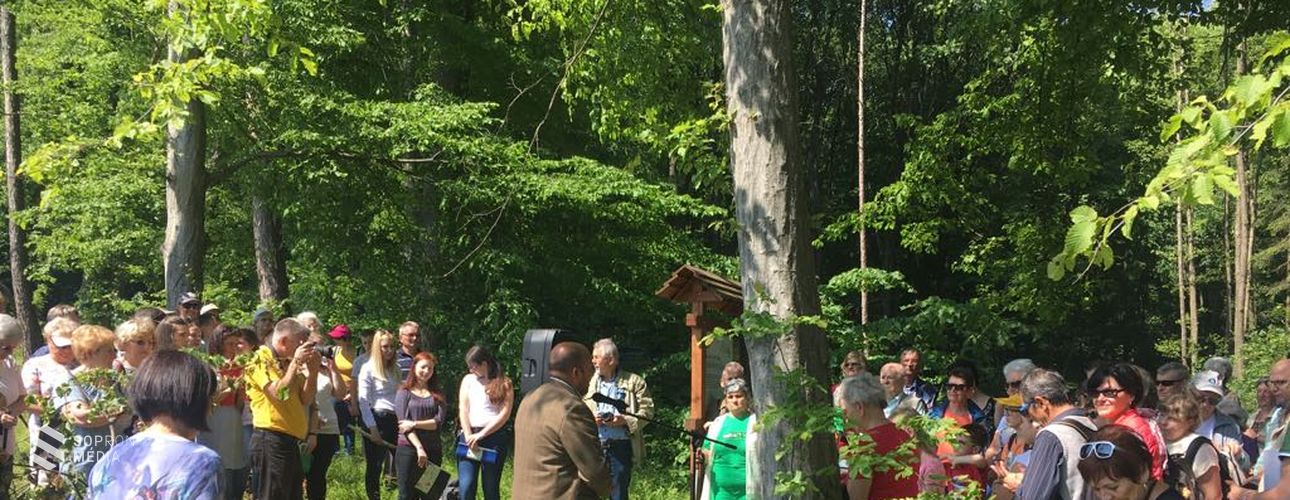 Tovább gyarapodott a Madarak és Fák Napja Emlékerdő