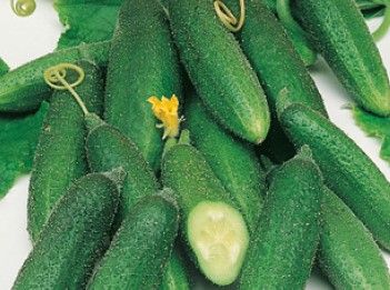 Uborka Mohikán  25 g termék képe