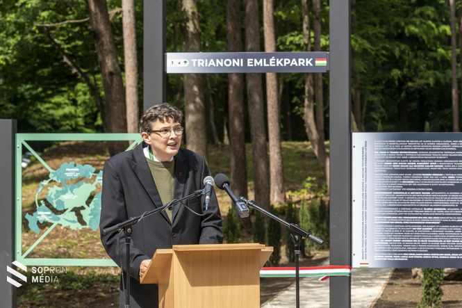 dr. ifj. Sarkady Sándor, a Soproni Egyetem tudományos kutatója