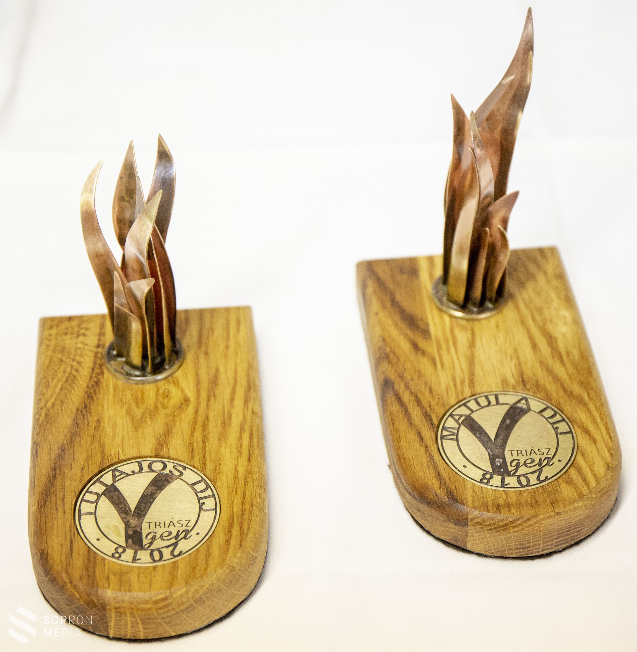 Díjazták az Ifjú Kócsagőröket