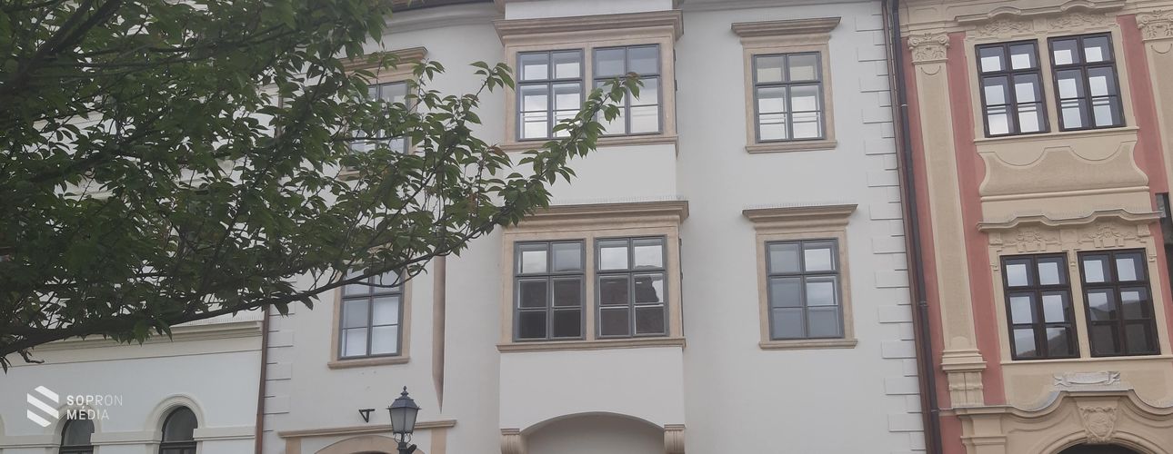 De kik is voltak a soproni Fabriciusok?