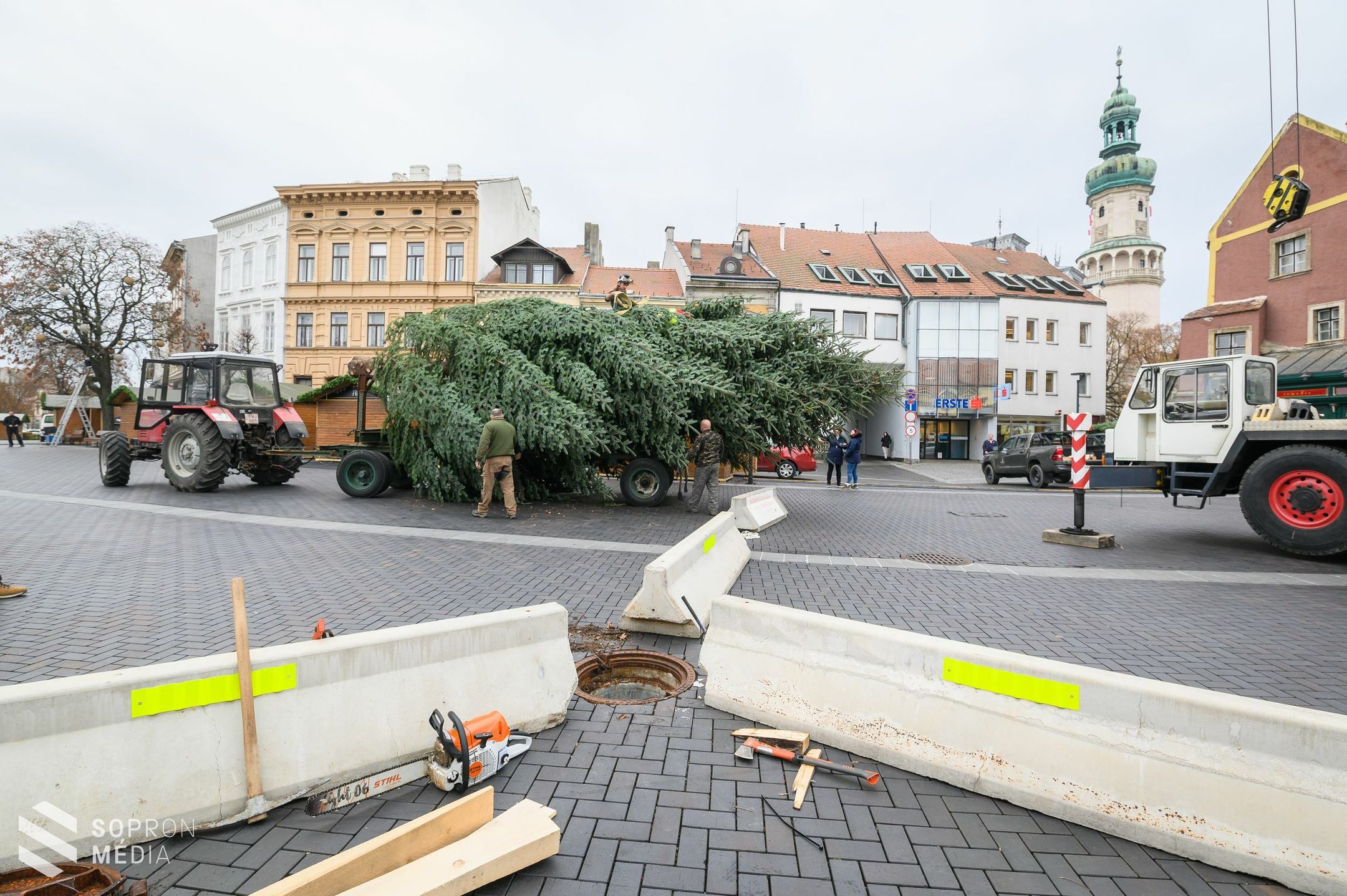 Megérkezett a város karácsonyfája a Várkerületre!