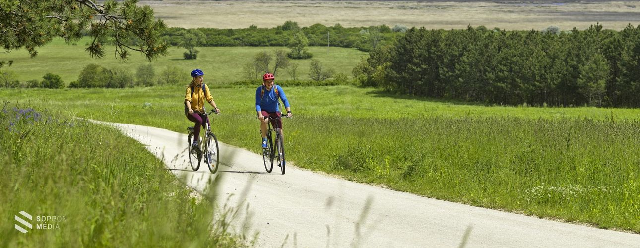 Tavaly 20%-kal emelkedett a kerékpározók száma Fertődön