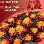 NM. Bársonyvirág Petit Harmony -narancs/barna 2 g termék képe