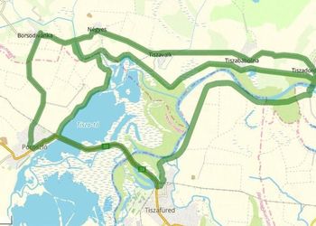 tisza tórékpár szerkesztett