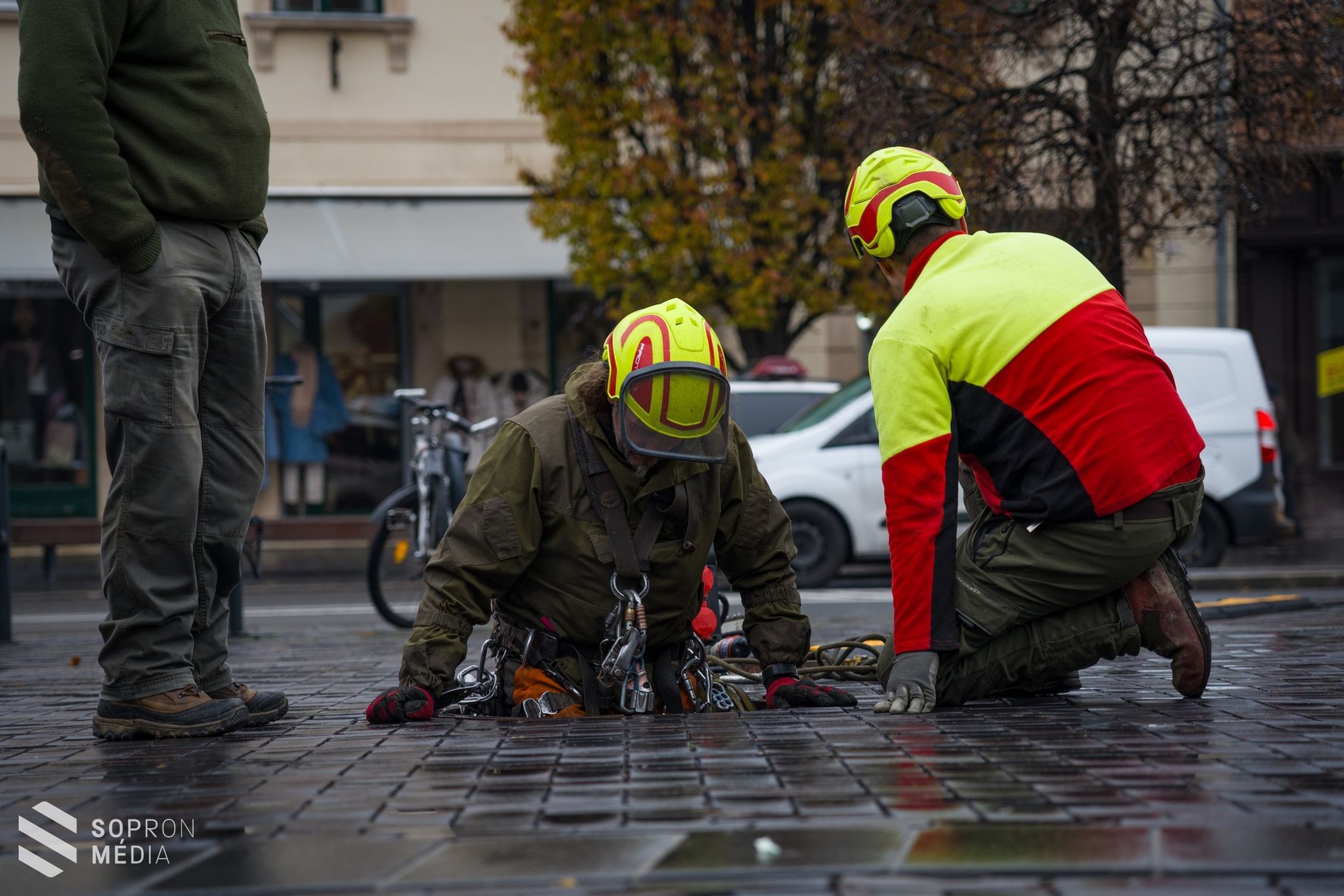 Megérkezett Sopron karácsonyfája