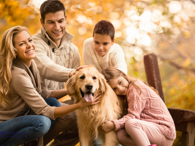 Őszi vitaminpáncél a családnak? Ez egy jó alap! 