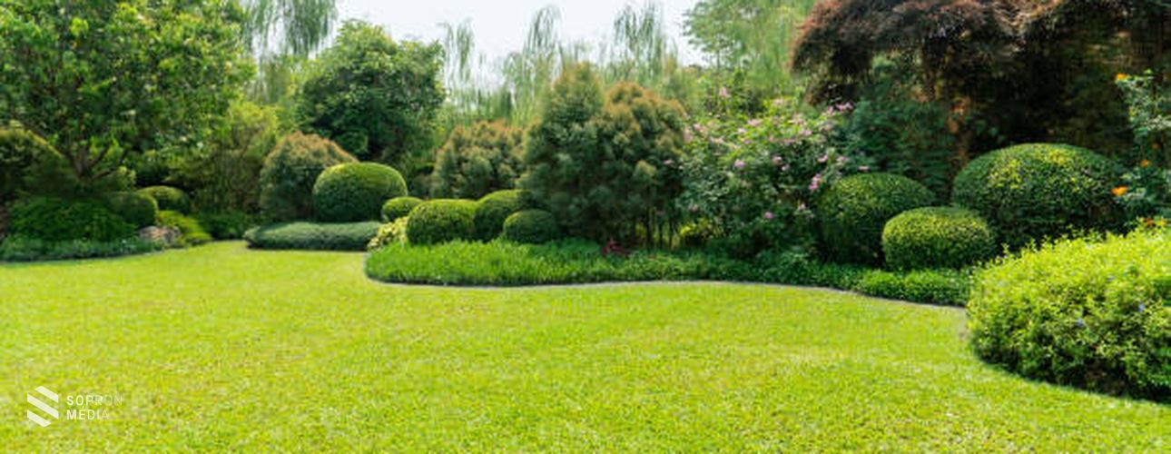 Milyen gyepápolási munkák várnak ránk áprilisban?