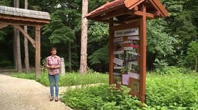Megújult a Soproni Egyetem botanikus kertje

