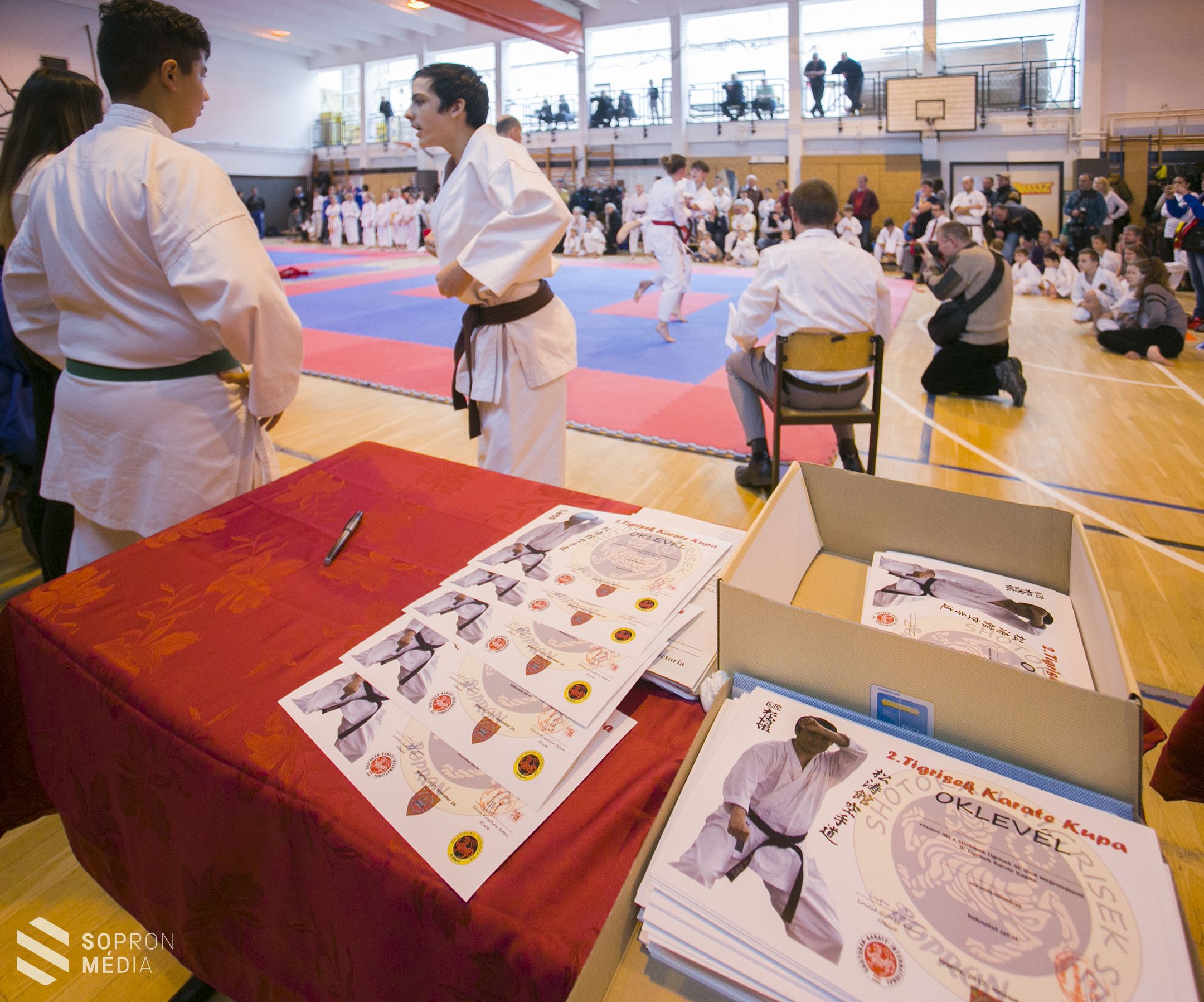 II. Tigrisek Karate Kupa!