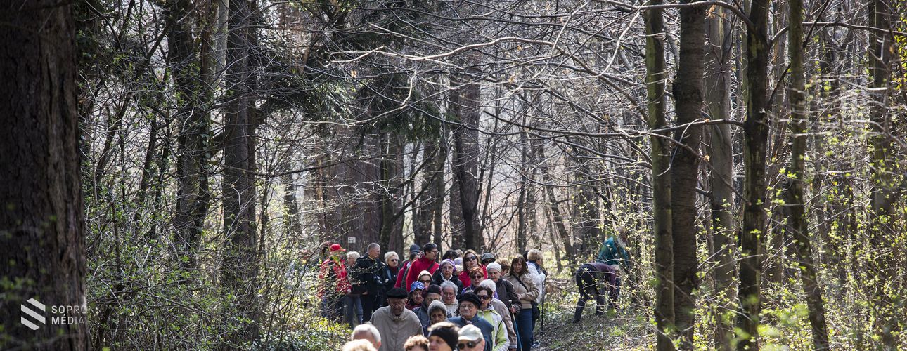 Gyalogló klubok – Sopronban több százan csatlakoztak az országos mozgalomhoz