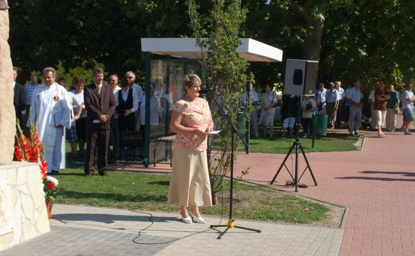 25. Falunap 2014. augusztus 9.