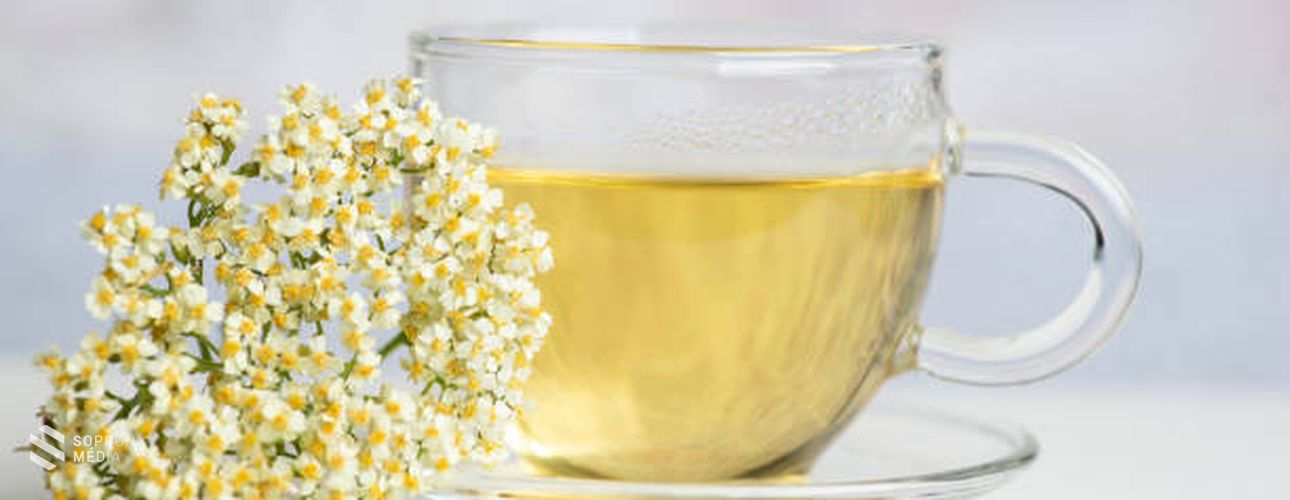 Gyógynövényekkel az ellenállóbb immunrendszerért