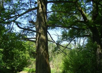 Kastélypark Borsodivánka