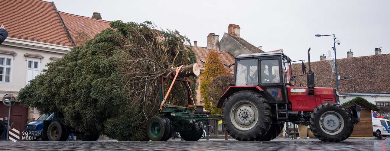 Megérkezett Sopron karácsonyfája