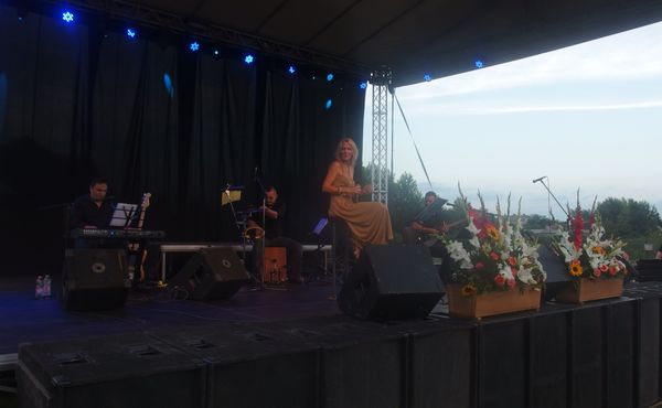 25. Falunap 2014. augusztus 9.