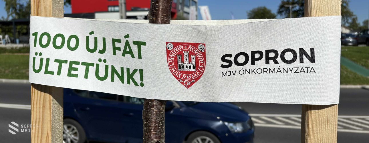 Faültetési program: 27 új fával gazdagodott az Ágfalvi út