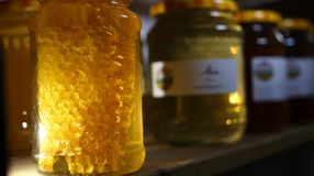 Rendkívül gyenge az akác- és napraforgóméz termés Sopronban is