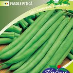 Zöldhüvelyű bokorbab Stanley 50 g termék képe