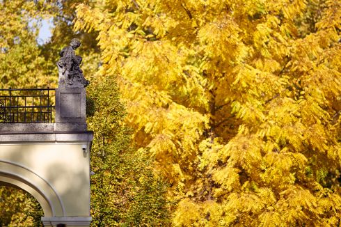 Pictures of the hotel