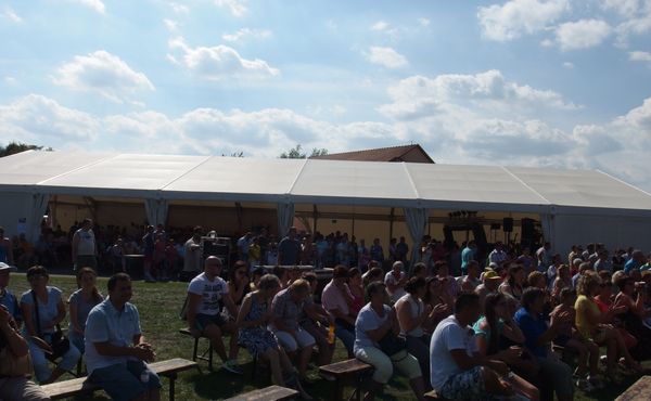 25. Falunap 2014. augusztus 9.