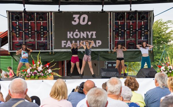30. Falunap 2019. augusztus 3.