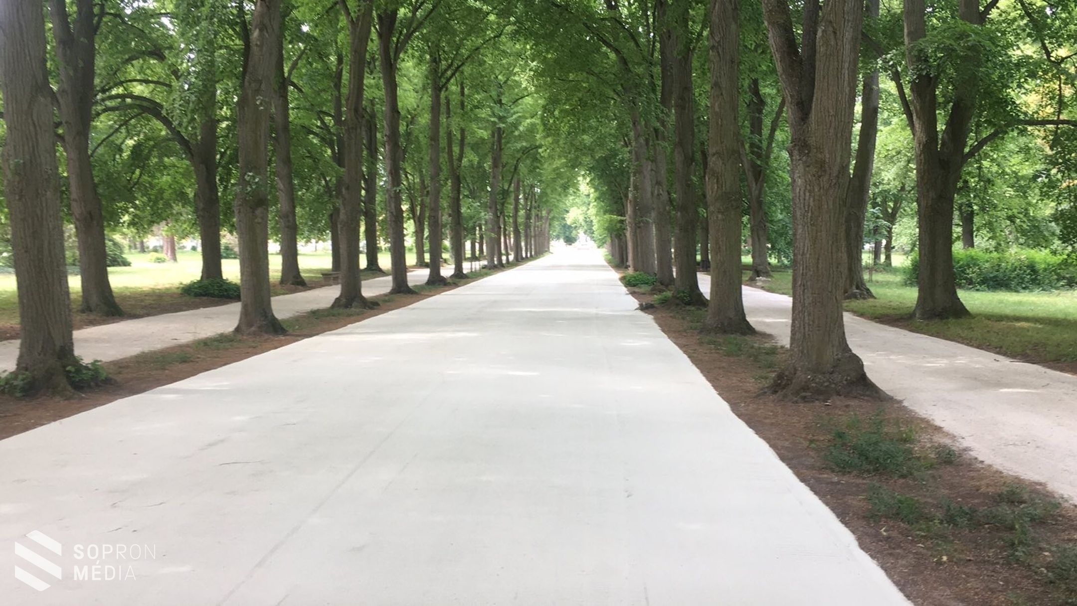 A fertődi Esterházy-kastély parkjai, kertjei újranyitás előtt