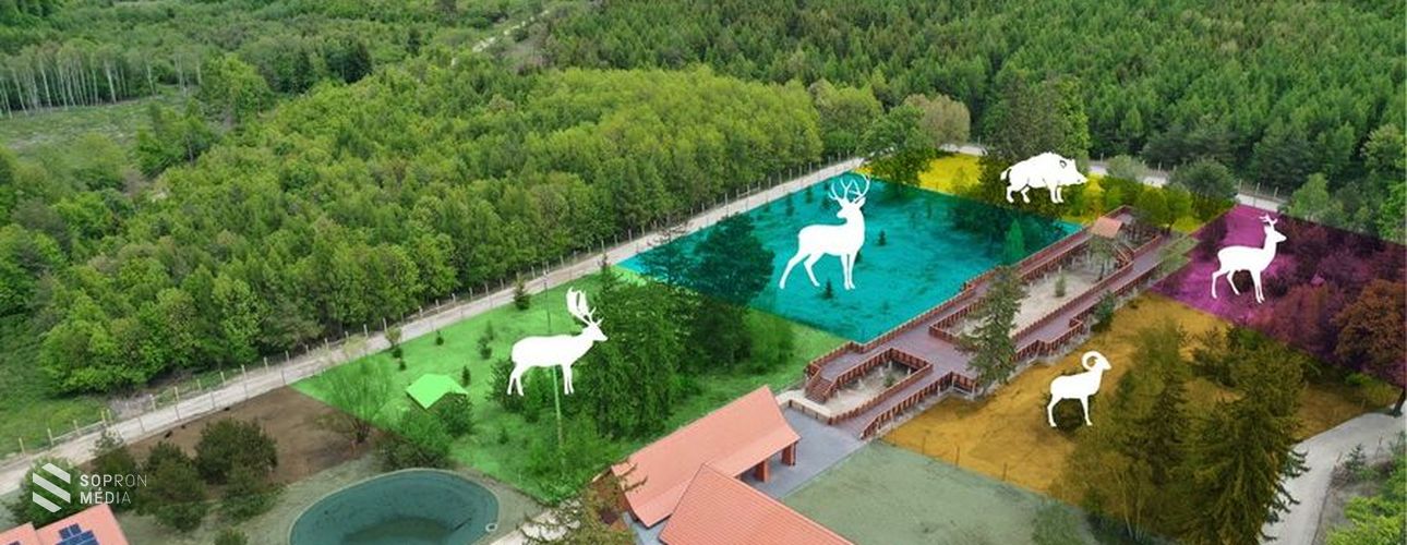 Augusztus 2-án nyit az Erdő Háza a Muckon