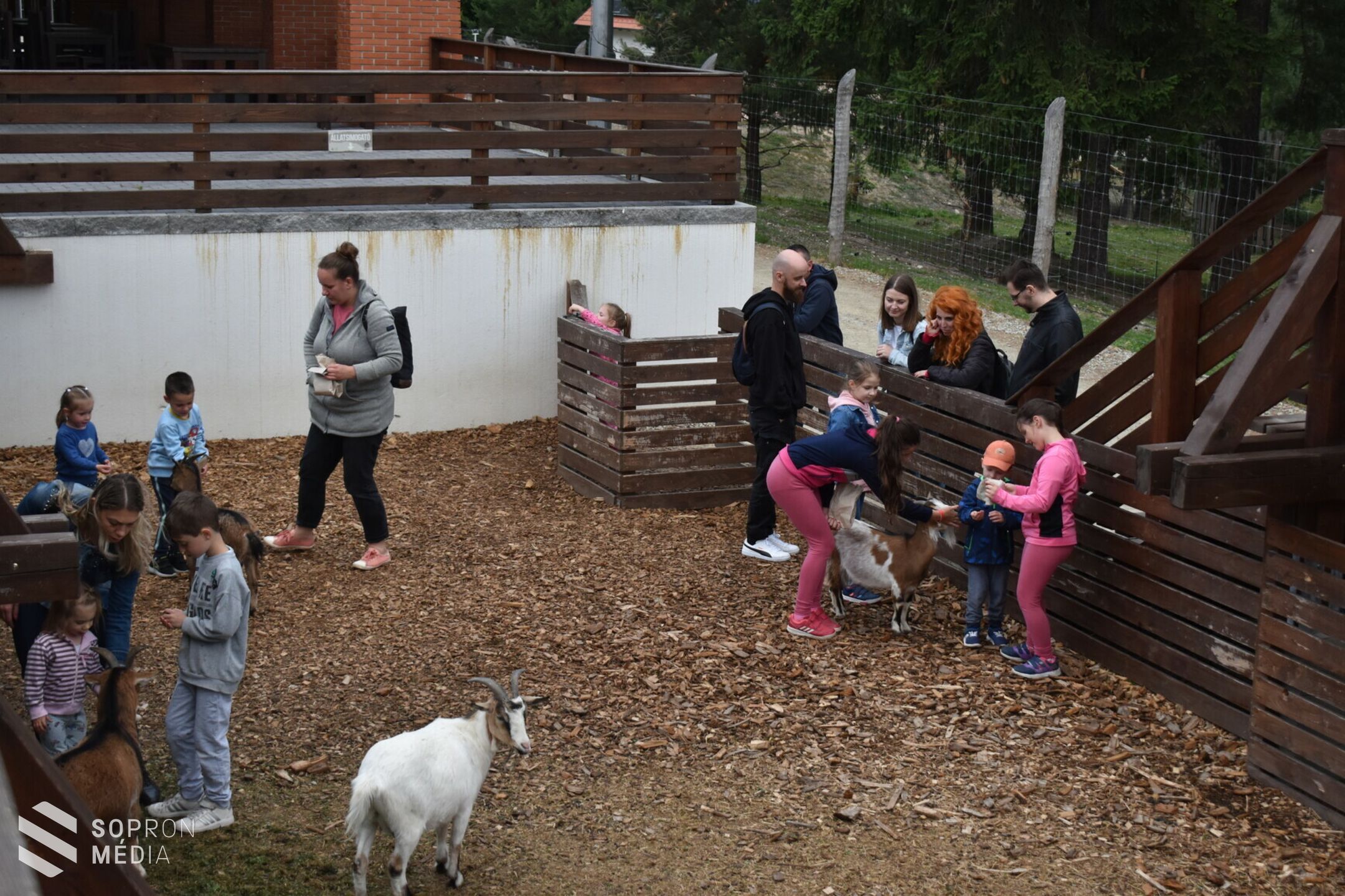 A Múzeumok Éjszakáján érdemes volt ellátogatni az Erdő Házába