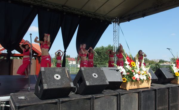 25. Falunap 2014. augusztus 9.