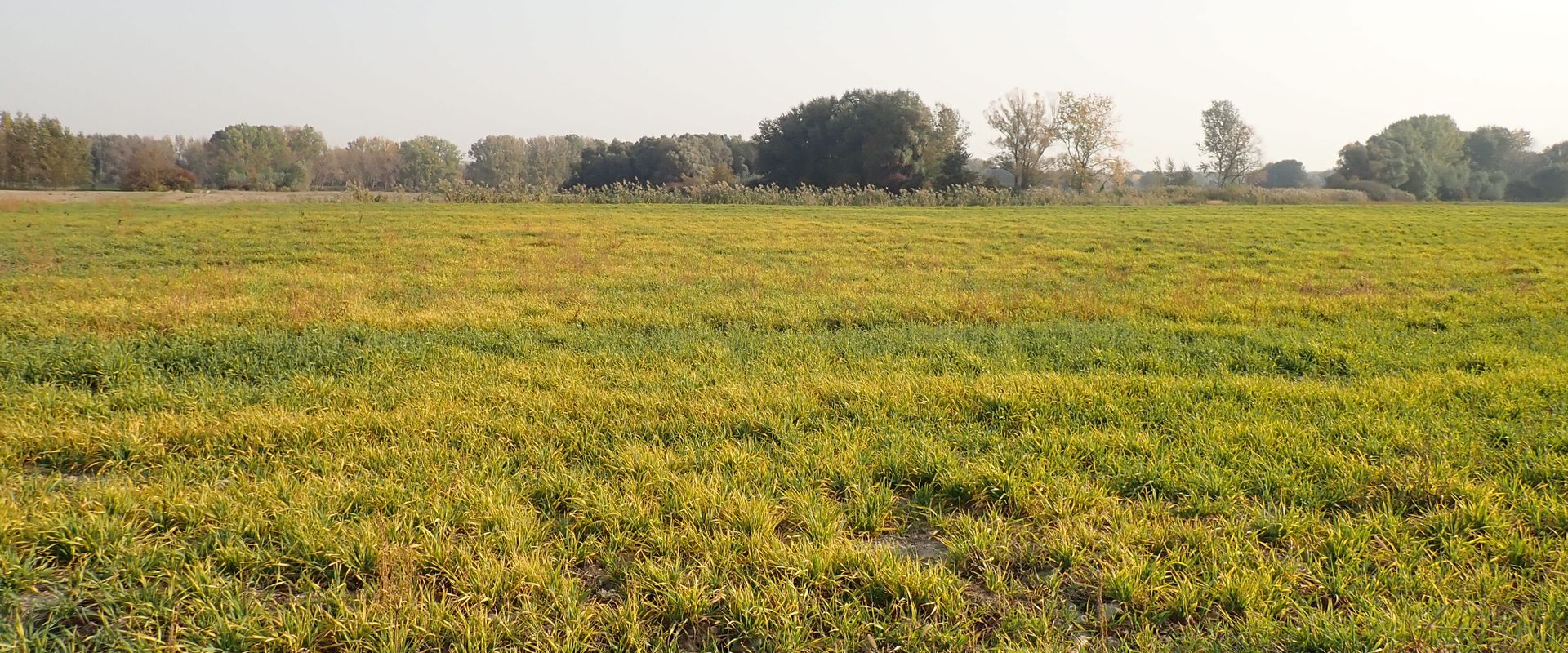 Agrofil-SZMI Kft.