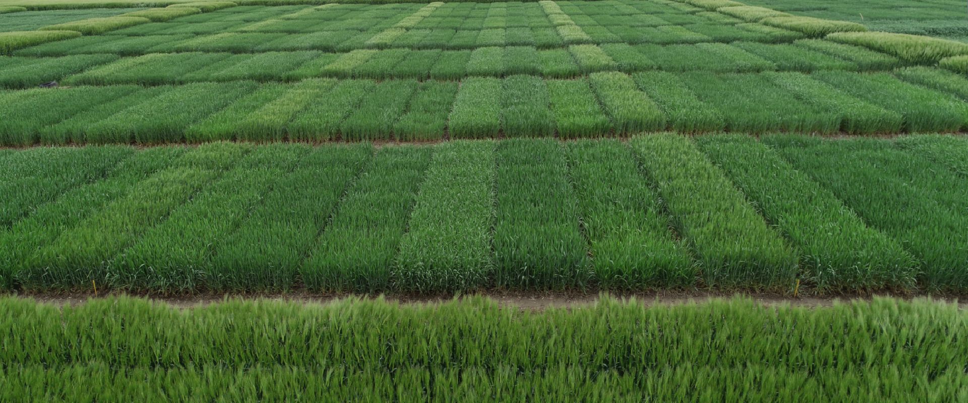Agrofil-SZMI Kft.