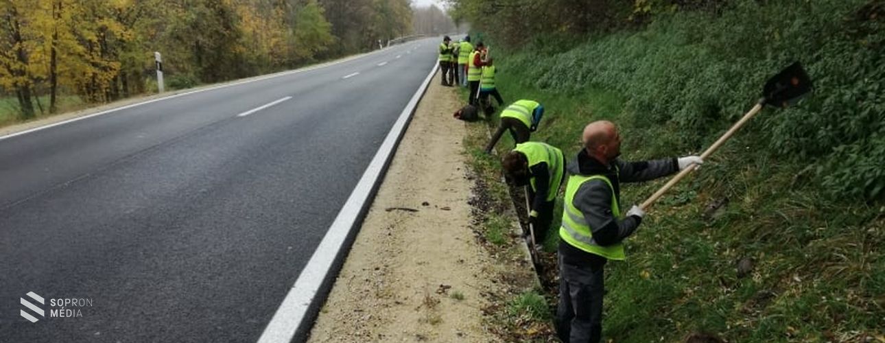 Sikeres volt a békaterelők megtisztítására szervezett önkéntes program