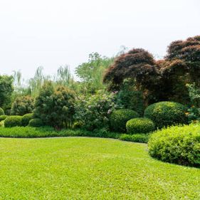 Milyen gyepápolási munkák várnak ránk áprilisban?