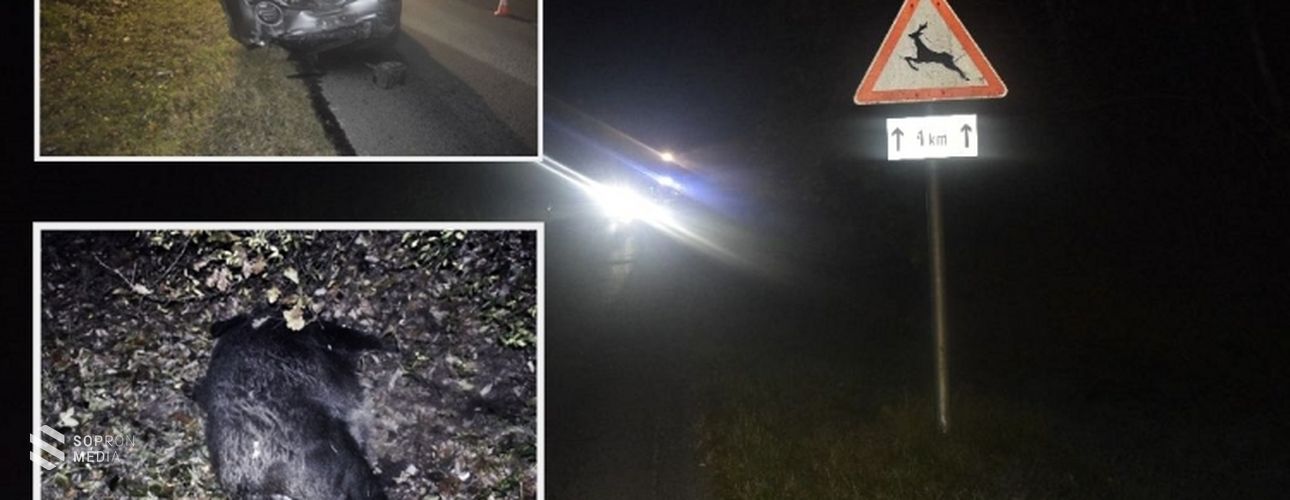 A vadbalesetek megelőzésére figyelmeztet a rendőrség!