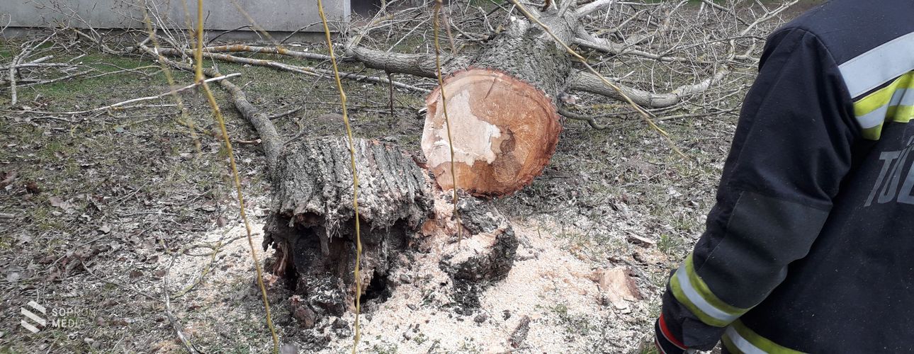 Összefoglaló a megyei viharkárokról