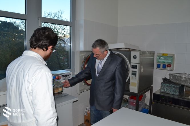 Prof. Dr. Németh Róbert, a Soproni Egyetem tudományos és külügyi rektorhelyettese a Faanyagvédelmi laboratóriumban