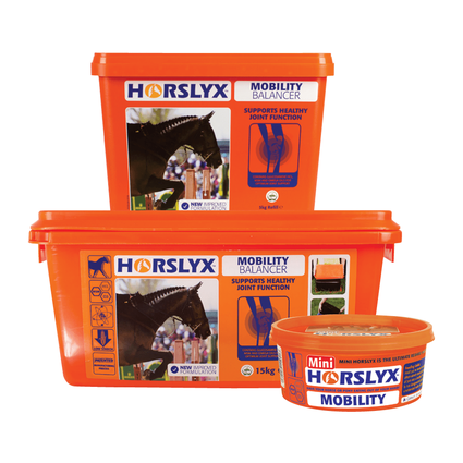 HORSLYX MOBILITY 650gr
