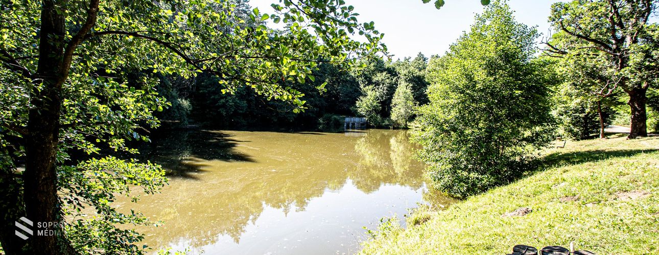 Lezárták a Szalamandra-tóhoz vezető utakat!