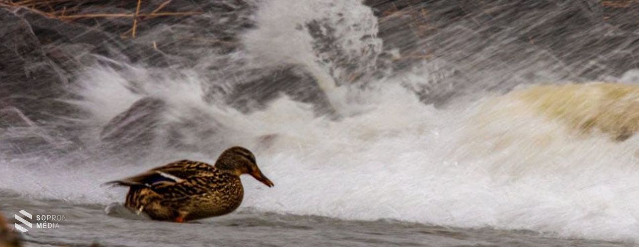 Hidegbetörés: 100 km/órás széllökések is lehetnek vasárnap