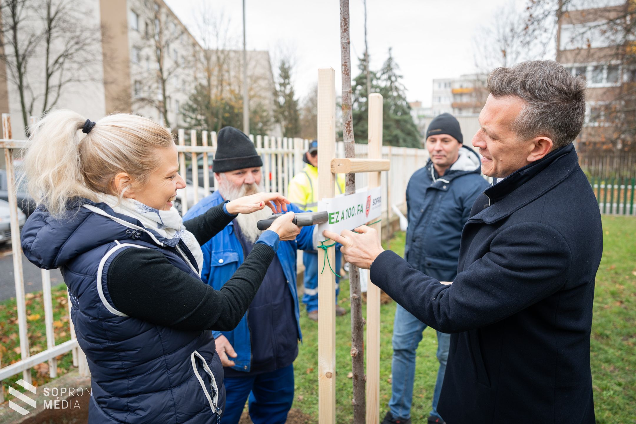 Elültették a 100. új fát Sopronban