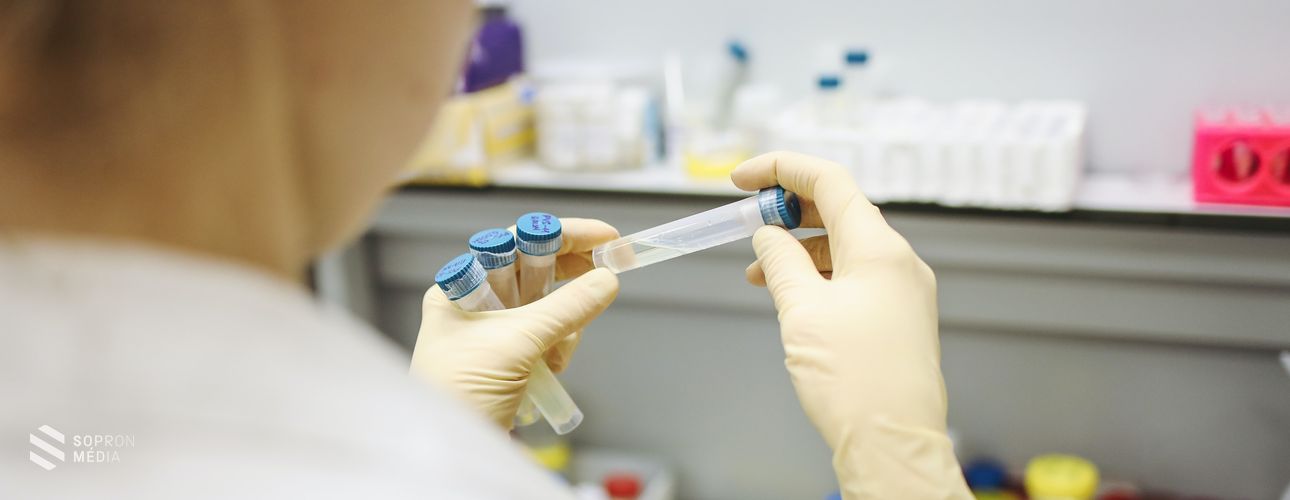 Ingyenes COVID-19 tesztelési lehetőségek Ausztriában