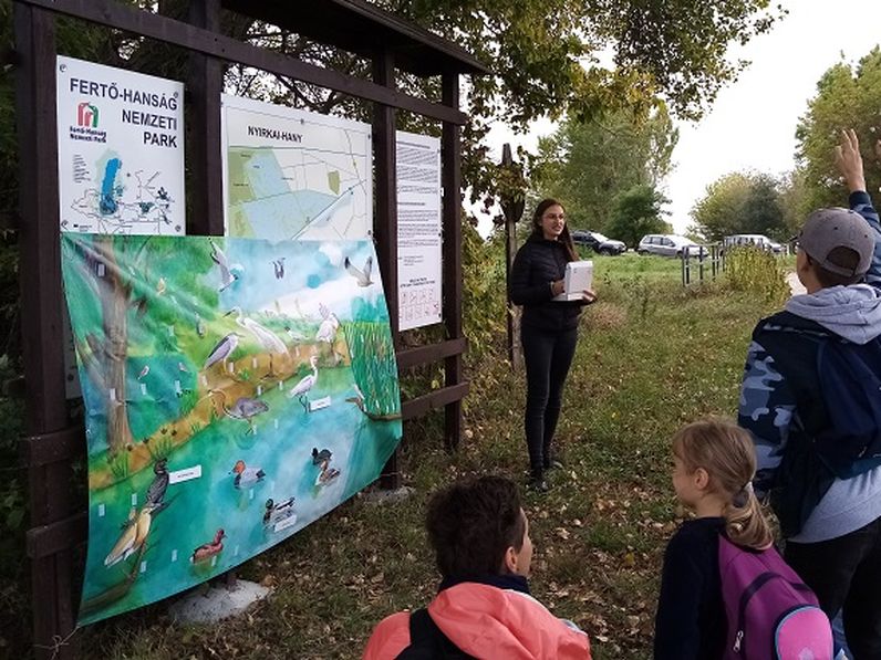 Európai Madármegfigyelő Napok - eredmények